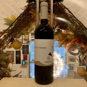 Colle Ambro Garofoli Rosso Piceno DOC 2021