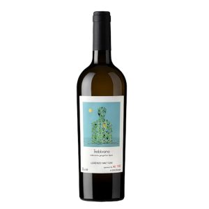 Trebbiano 2023 Lorenzo Mattoni